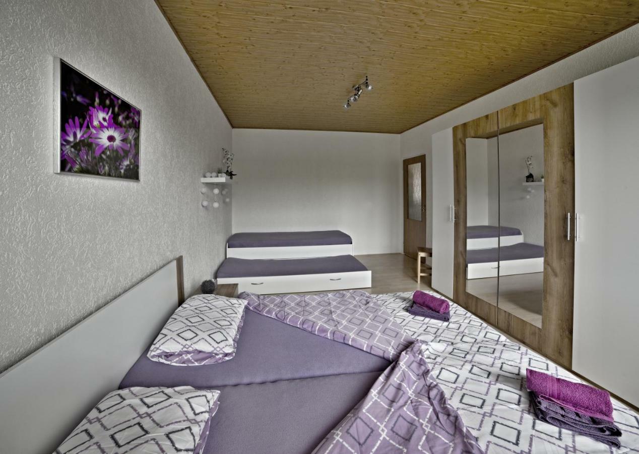 Apartmany 2+1 U Klinovce Kovářská Exterior foto